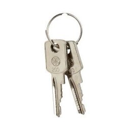 set de 2 llaves Ronis 203 ref. ZB6Y203 Schneider Electric [PLAZO 3-6 SEMANAS]