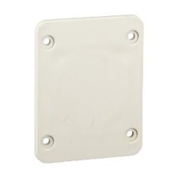 Accesorio Cofret - placa 65 x 85 mm - para salida de 50 x 50 mm ref. 13135 Schneider Electric [PLAZO 3-6 SEMANAS]