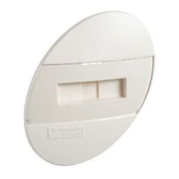 Placa de identificación de placas de conmutadores ref. 8900 Schneider Electric [PLAZO 3-6 SEMANAS]