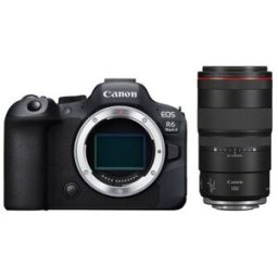 Canon EOS R6 Mark II + RF 100mm f/2.8 L MACRO IS USM