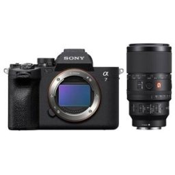 Sony Alpha 7 IV (ILCE-7M4) + SEL 100mm f/2.8 Macro GM OSS