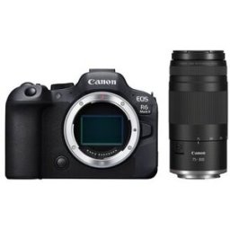 Canon EOS R6 Mark II + RF 75-300 mm f4-5,6