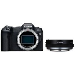 Canon Cuerpo EOS R8 + adaptador de objetivo EF-EOS R (con anillo de control)