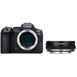 Canon EOS R6 Mark II + adaptador de objetivo (con anillo de control)
