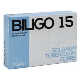 Artesania Agrícola Biligo 15 (Litio) 20Amp