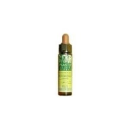 Artesania Agrícola Rock Rose Plantis N 26 10 ml