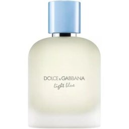 Dolce & Gabbana Light Blue Pour Homme Eau de Toilet 100 ml