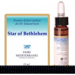 Forza Vitale Fm 29 Star Of Bethlehem 10 ml