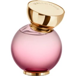 Jesús del Pozo My Wish Eau de Parfum Vapo 100 ml