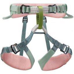 Petzl Arnés de escalada para niños MACCHU® menta