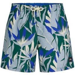 O'Neill Bañador de playa estampado para hombre azul M