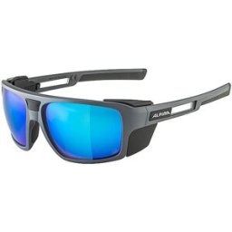 Alpina Gafas de montaña Skiwalsh para hombre gris