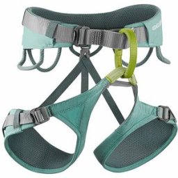 Edelrid Arnés de escalada Jayne IV menta S