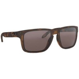 Oakley Gafas de sol Holbrook™ XL para hombre marrón