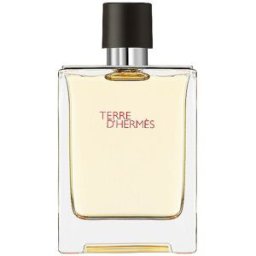 Hermès Terre d' Eau de Toilette 100ml