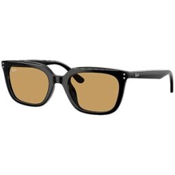 Rayban Gafas de sol 0RB4439D/54 negro