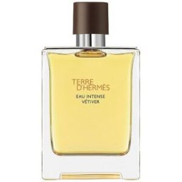 Hermès Terre d’ Eau Intense Vétiver Eau de Parfum 100 ml