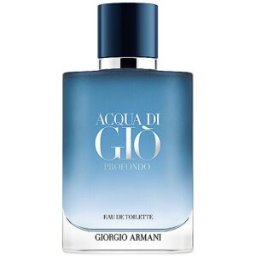 Armani Acqua Di Gio Profondo Eau de Toilette 100ml