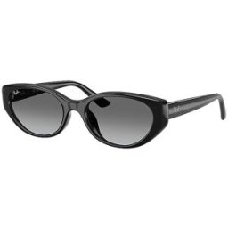 Rayban Gafas de sol 0RB4457D/55 negro