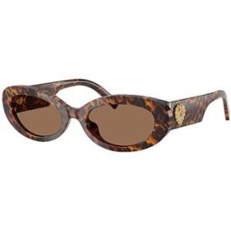 Dolce&Gabbana Gafas de sol 0DG4537/53 marrón