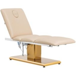 physa Camilla de estética - 3 motores - 300 W - 190 x 65 x 60 - 76 cm - 200 kg - beis/dorado 10040878