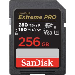 SANDISK SDSDXEP256GGN4IN - Tarjeta de memoria SDHX, 256GB