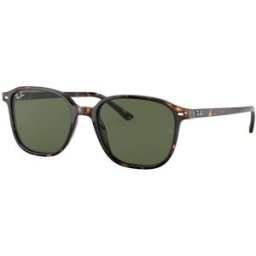 Rayban Gafas De Sol Ray-Ban Leonard Rb 2193 902 31 Tortoise