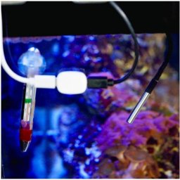 Sensor de Temperatura Shelly The Pill TS1m Cable 1 m Jack 3,5 mm
