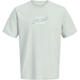 CAMISETA JACK&JONES JCOETERNA JUNIOR