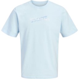 CAMISETA JACK&JONES JCOETERNA JUNIOR