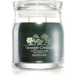 Silver Sage & Pine Vela Perfumada Signature 368 G