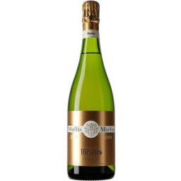 Mestres Mas Via Gran Reserva 2009 - Vino español de lujo con 12% de graduación
