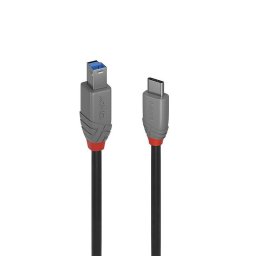 Cable USB C a USB B Lindy 2 m USB 3.2 Gen 1 Negro