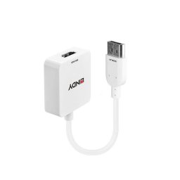 Adaptador de Cable de Vídeo Lindy HDMI a DisplayPort 4K 3840x2160