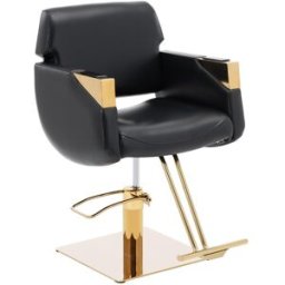 physa Sillón de peluquería con reposapiés - 480 - 630 mm - 200 kg - negro/dorado 10040762