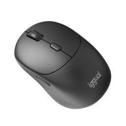 Ratón IGGUAL NANO-OFFICE-6D inalámbrico 1600 DPI Negro 6 Botones