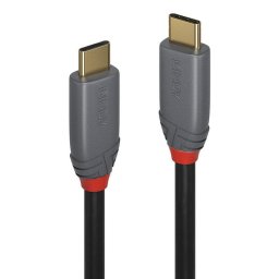 Cable USB C a USB C Lindy 3 m USB 3.2 Gen 2 10 Gbit/s Negro