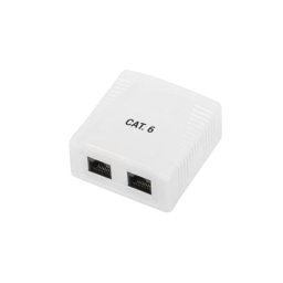Caja de superficie RJ45 Phasak UTP Cat.6 Dual entrada inferior blanca