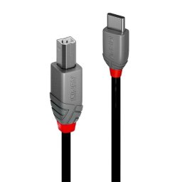 Cable USB C a USB B Lindy 3 m USB 2.0 Negro