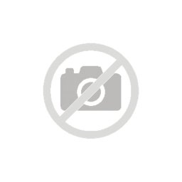 Cartucho de Tinta Epson 250XL Light Magenta Claria Photo HD