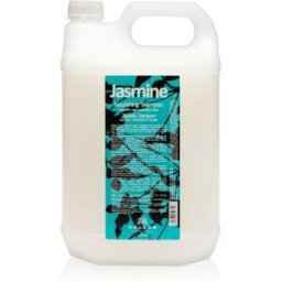 Classic Champú Para Cabello Seco Y Dañado 5000 Ml