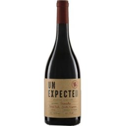Bodega Aylés Vino Aylés Un Expected 2024 - Exquisito tinto español con graduación de 14,00%