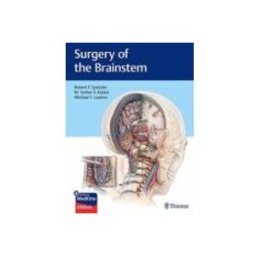 Axon Surgery Of The Brainstem + Online At Medone Videos