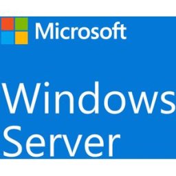 Microsoft Windows Server CAL 2022 5 Usuarios Cliente English DSP