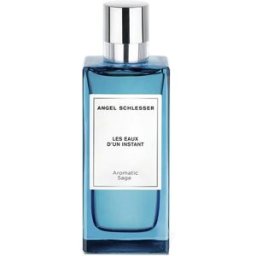 Angel Schlesser Les Eaux D’UN Instant aromatic sage eau de toilette vaporizador 100 ml