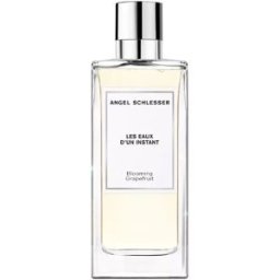 Angel Schlesser Les Eaux D’UN Instant blooming grapefruit eau de toilette vaporizador 150 ml