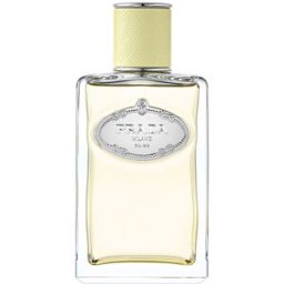 Prada Infusion Gingembre eau de parfum vaporizador 100 ml