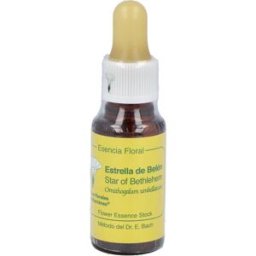 Esencias florales mediterraneo star of bethlehem e.f.mediterraneo 20 ml.