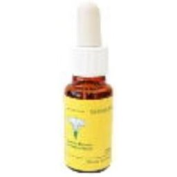 Esencias florales mediterraneo red chestnut e.f.mediterraneo 20 ml.