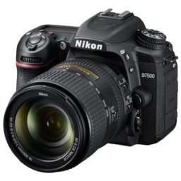 Nikon D7500 + AF-S DX Nikkor 18-300 VR 3.5-6.3